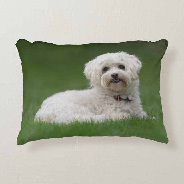 Moritz the Maltese Decorative Cushion (Front)
