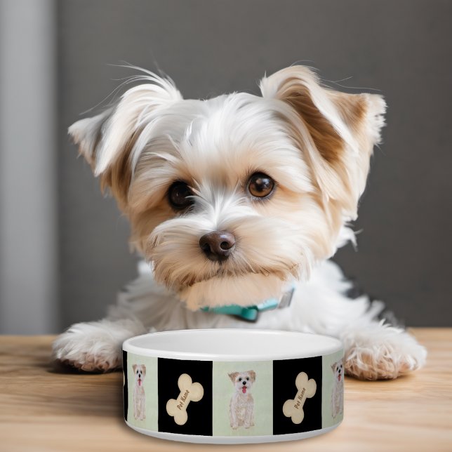 Morkie Dog Bowl With Bone (Creator Uploaded)