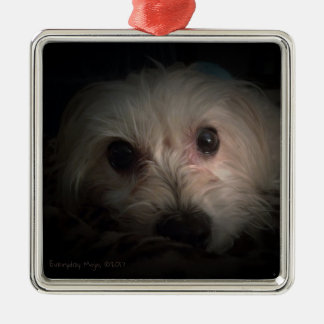 Morkie Dog Puppy Cute Rescue Ornament