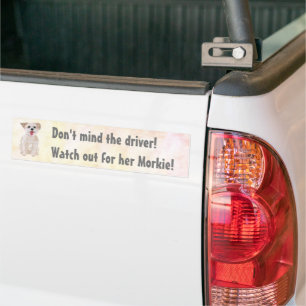 Morkie Funny Watch Out Bumper Sticker