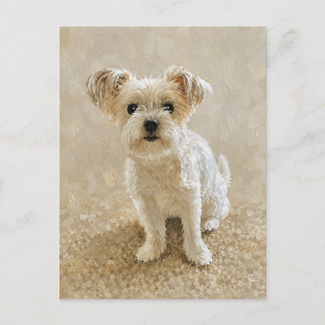Morkie Love Postcard (Front)