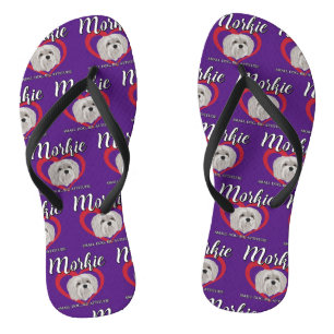 Morkie - Small Dog, Big Attitude - 3 Jandals