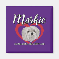 Morkie - Small Dog, Big Attitude - 3