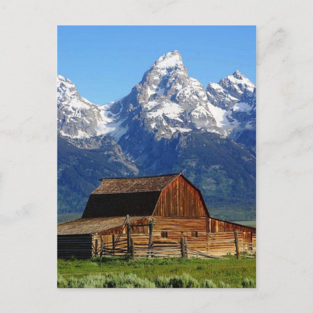 Mormon Row Barns, Wyoming Landscape Postcard (Front)