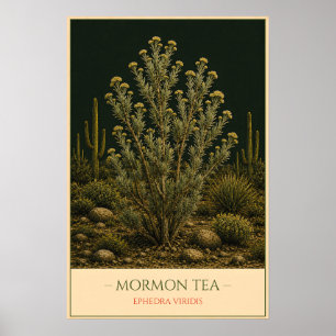 Mormon Tea Poster