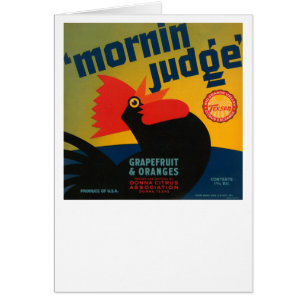 Mornin Judge Grapefruit and Oranges