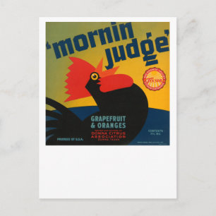 Mornin Judge Grapefruit and Oranges Postcard