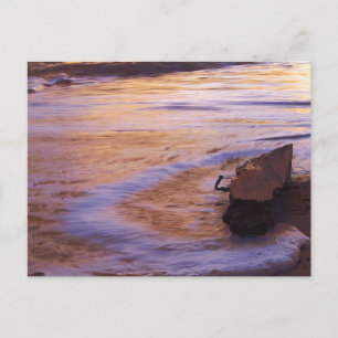 Morning Adrift Postcard