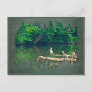 Morning at the Creek Postcard