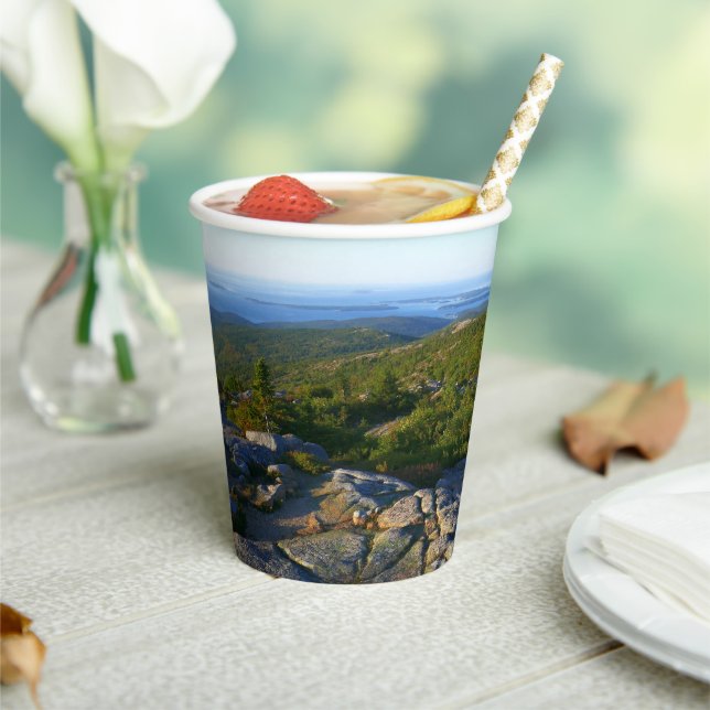 Morning atop Cadillac Mountain at Acadia Paper Cups (Insitu)