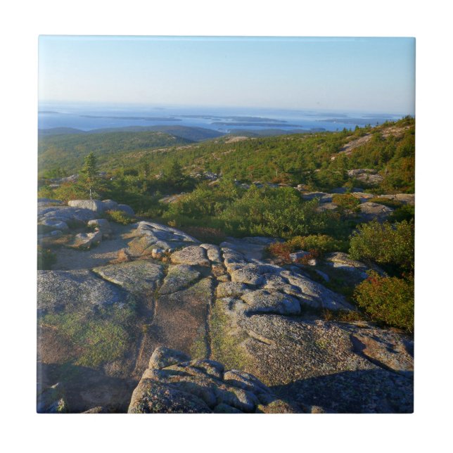 Morning atop Cadillac Mountain at Acadia Tile (Front)