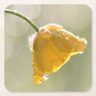 Morning Buttercup Square Coaster