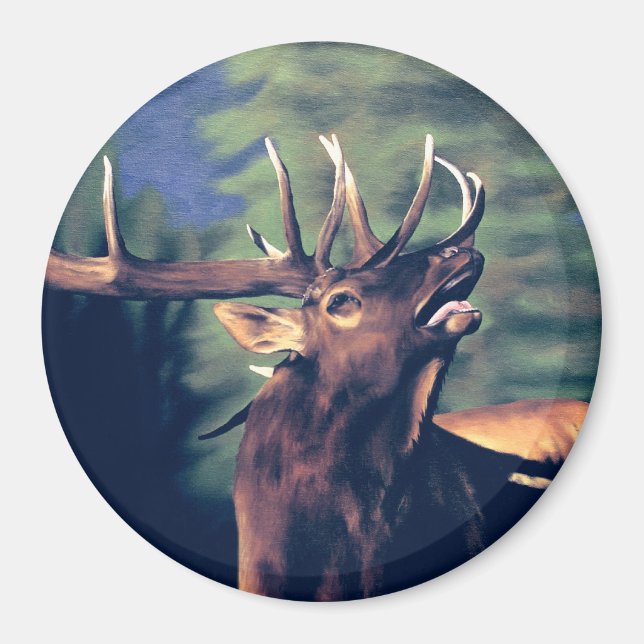 Morning Call Magnet (Front)