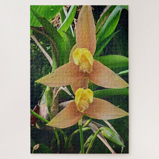 Morning Calm: Blush Petals in Gentle Focus Jigsaw Puzzle (Vertical)