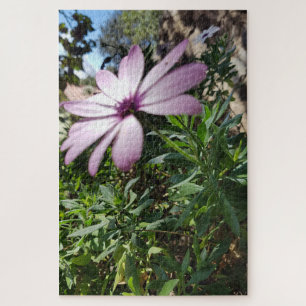 Morning Calm: Pale Pink Flower with Soft Petals Jigsaw Puzzle