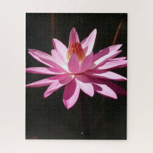 Morning Calm: Pink Lotus in Soft Natural Light Jigsaw Puzzle