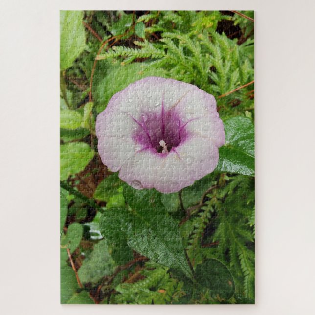 Morning Calm: Soft Dew Dropped Pink Petals Jigsaw Puzzle (Vertical)