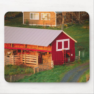 Morning chores on the farm. USA, Vermont, Mouse Pad