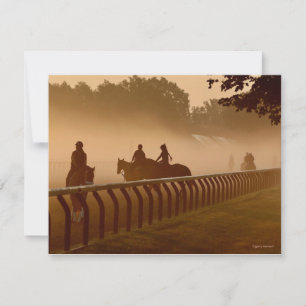 Morning Conversations - Thoroughbred Horse card