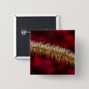 Morning Dew 15 Cm Square Badge