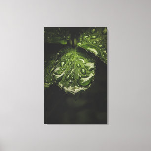 Morning Dew canvas print art