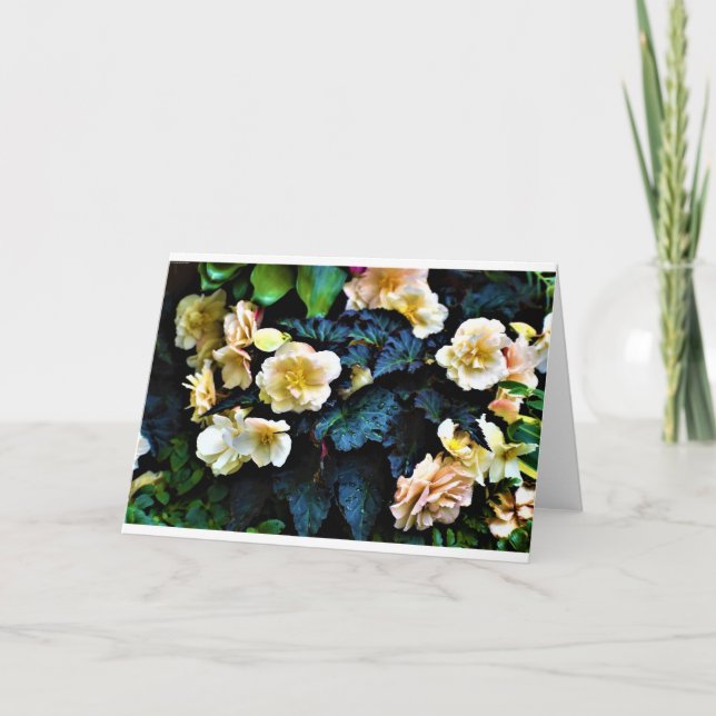 Morning Dew, card (Front)