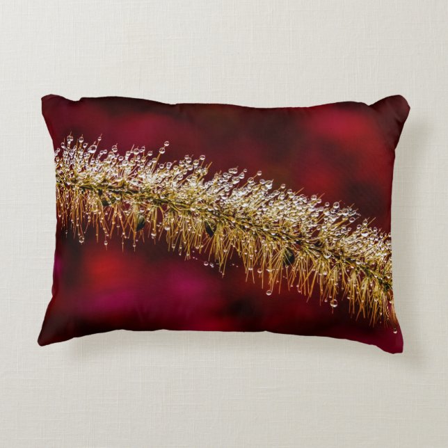 Morning Dew Decorative Cushion (Back)