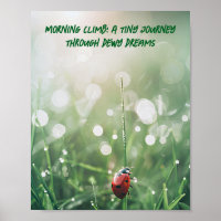 Morning Dew Ladybug: Nature's Tiny Wanderer