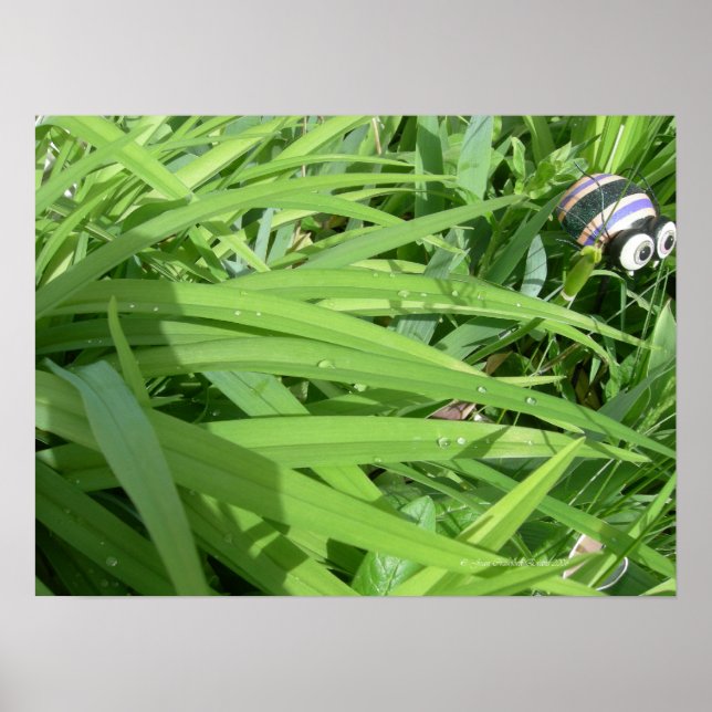 Morning dew poster (Front)