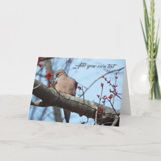 morning dove cards (Front)