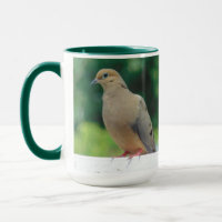 Morning Dove