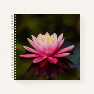 Morning Flower Notebook