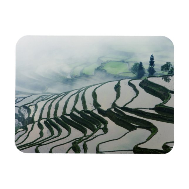 Morning Fog Above Rice Fields Magnet (Horizontal)