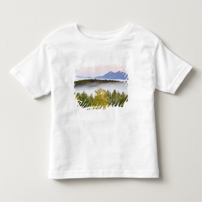 Morning fog and the Percy Peaks as seen from the Toddler T-Shirt (Front)