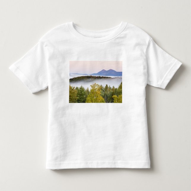 Morning fog and the Percy Peaks as seen from the Toddler T-Shirt (Front)
