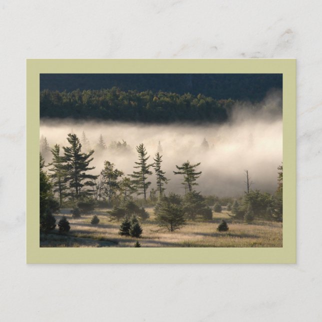 Morning Fog in the Adirondacks Postcard (Front)