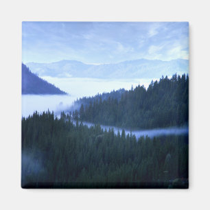 Morning Fog...... Magnet