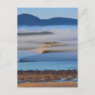 Morning fog over Netarts Bay, OR Postcard