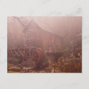 Morning Fog Postcard