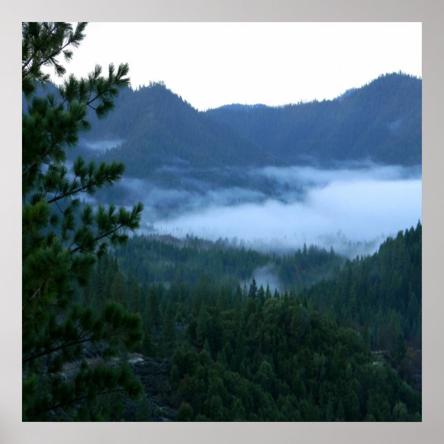 Morning fog.... poster (Front)