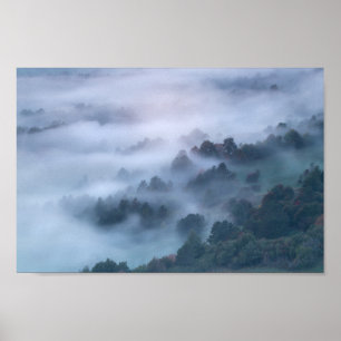 Morning fog rolling through trees poster
