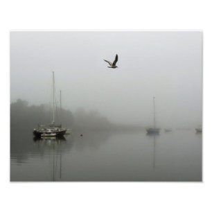 Morning Fog with Sailboats Photo Print
