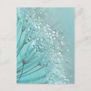 Morning Freshness Postcard