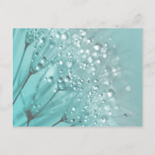 Morning Freshness Postcard