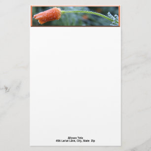 Morning Frost California Poppy Photo Custom Stationery