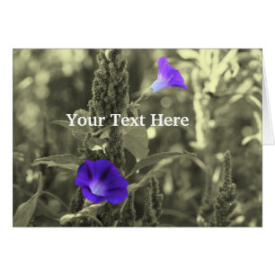 Morning Glories Black And White Flower Card