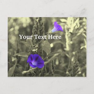 Morning Glories Flower Customisable Postcard