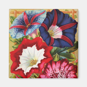 Morning Glories Magnet