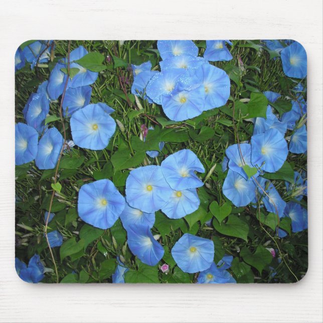 Morning Glories! Mouse Pad (Front)