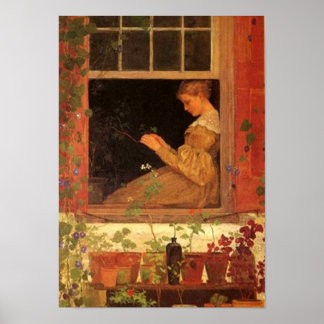 Morning Glories - Print